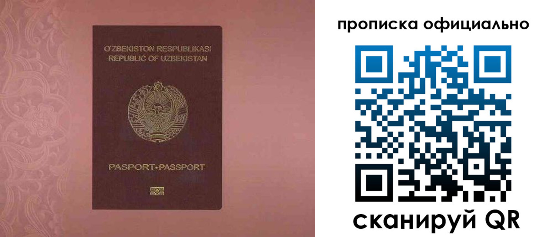 прописка гарантия в ЕАО
